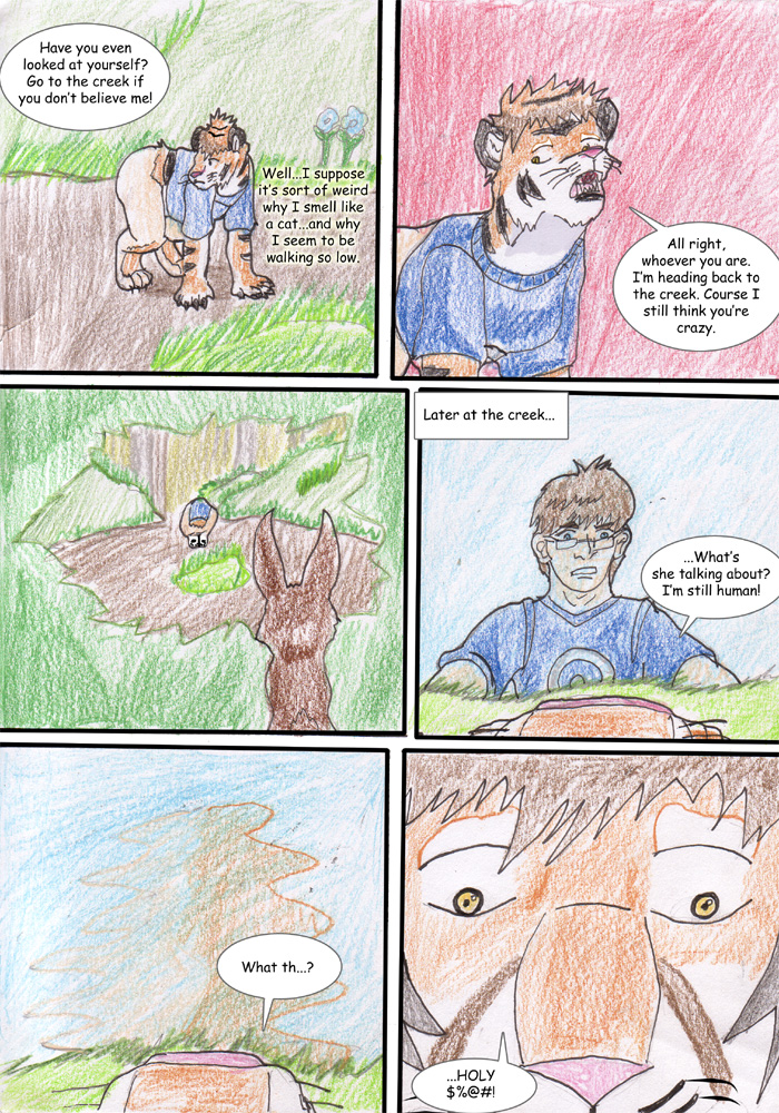 walk in the woods by Wrathofautumn