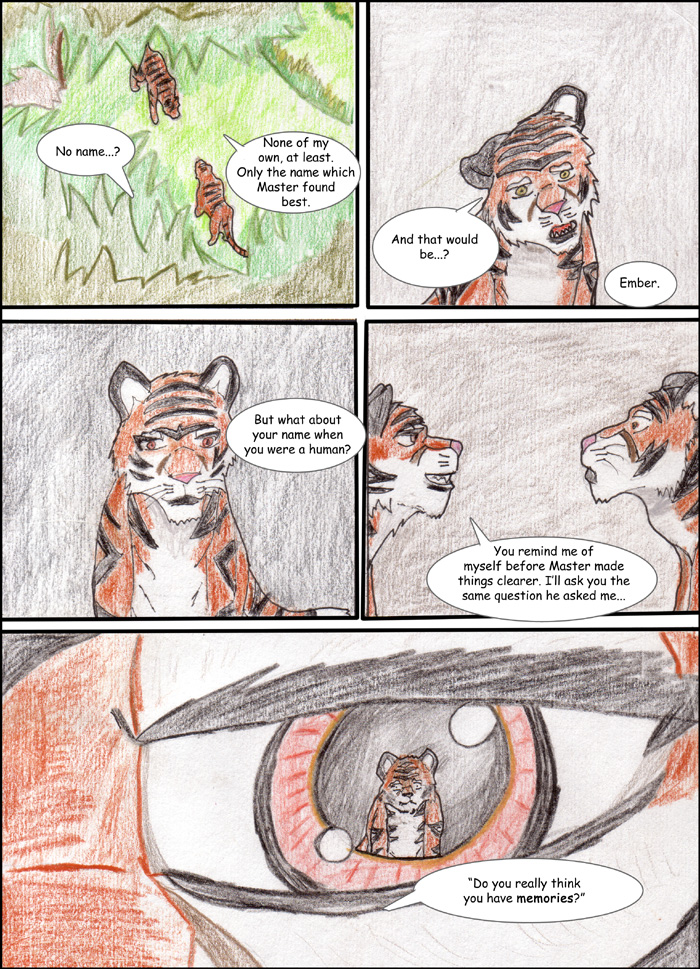 walk in the woods by Wrathofautumn