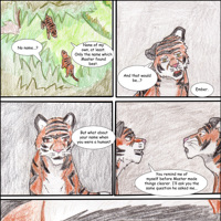 Sequence Image 15