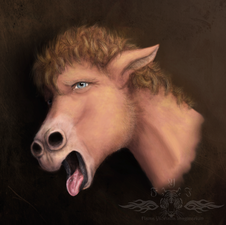 Donkey TF commission by Ykoriana