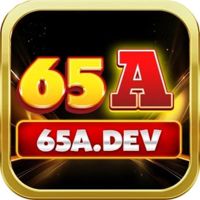 A65dev