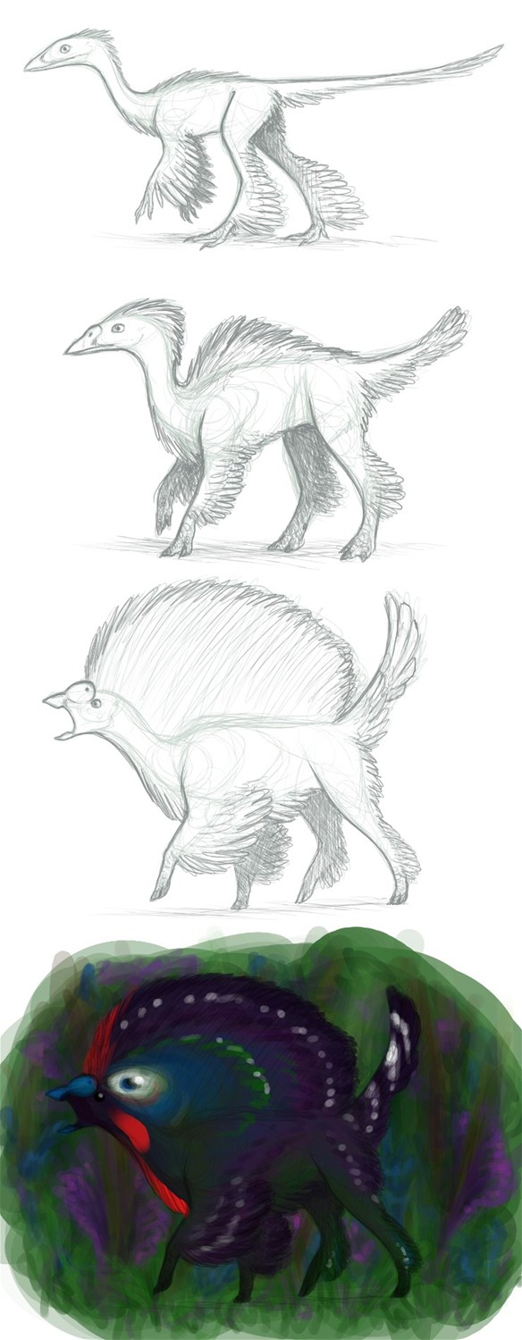 Bird Evolution Deviantart 'Bird Head' Evolution by Birvan - Transfur