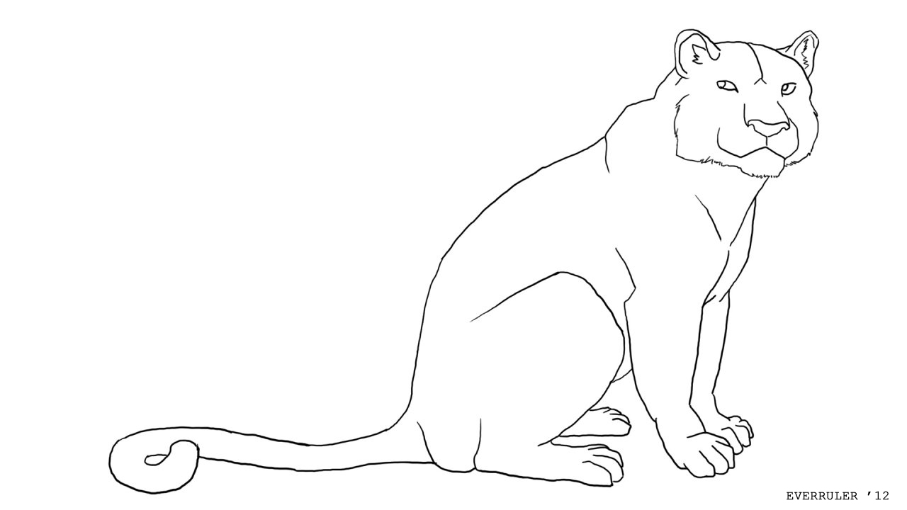 Big Cat Transformation by everruler