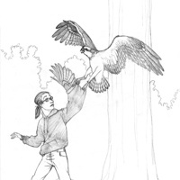 Sequence Image 1