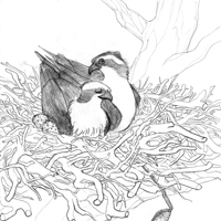 Sequence Image 3