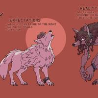Expectations vs. Reality by Hukeng