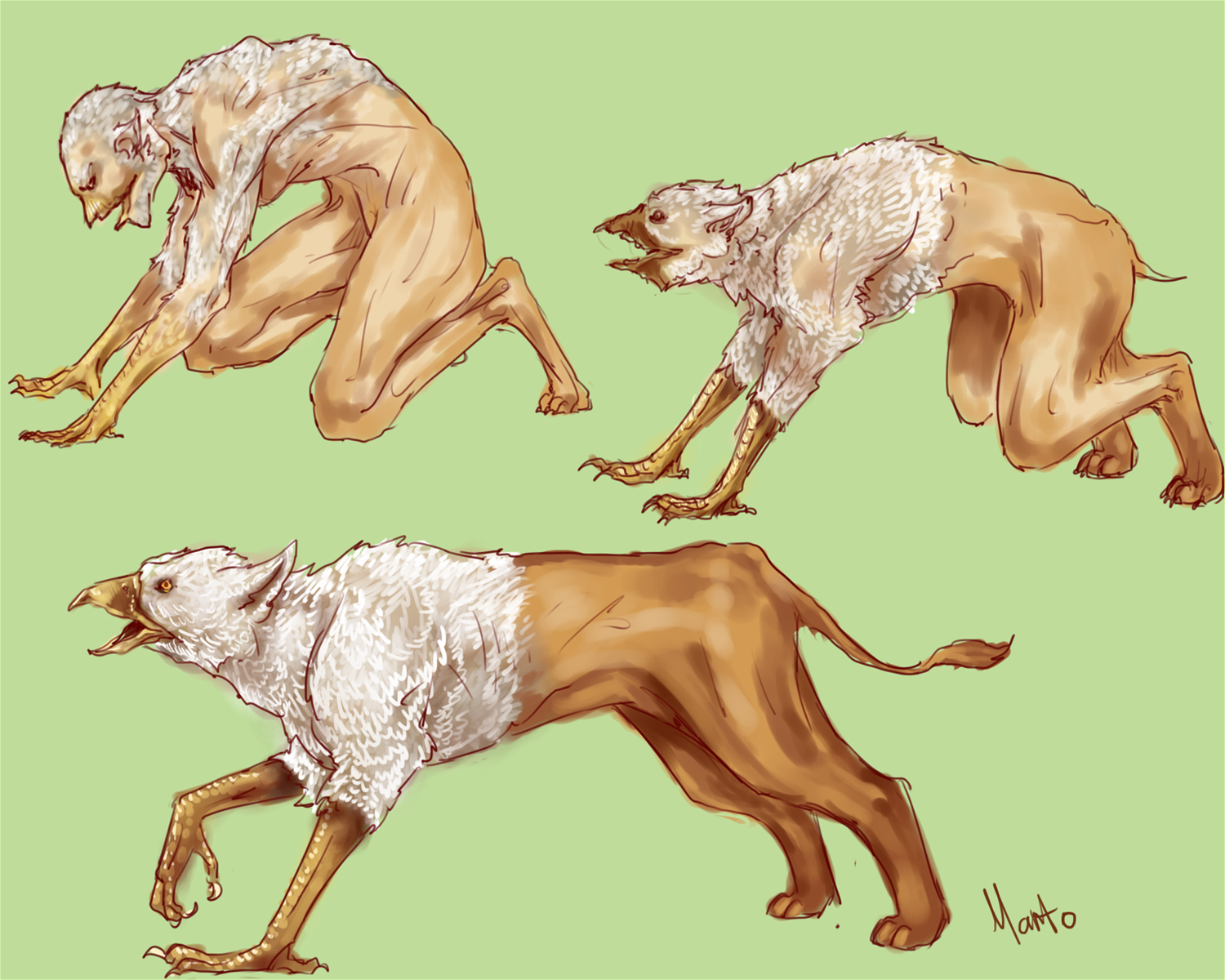 Gryphon by Manto
