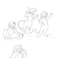 Sequence Image 2