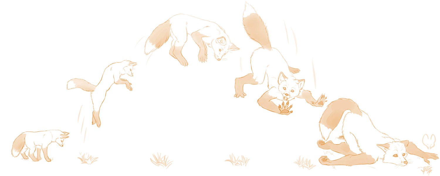 Pounced! by Niche