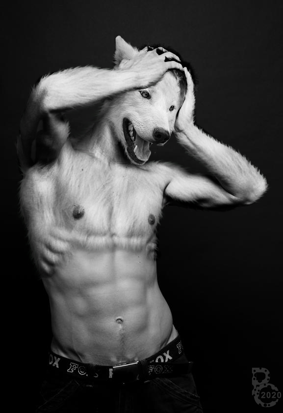Black and White Wolf by Pythoscheetah