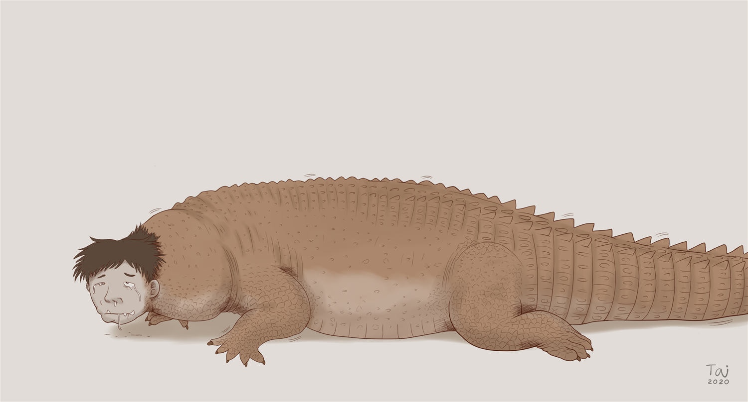 Alligator by Taitora