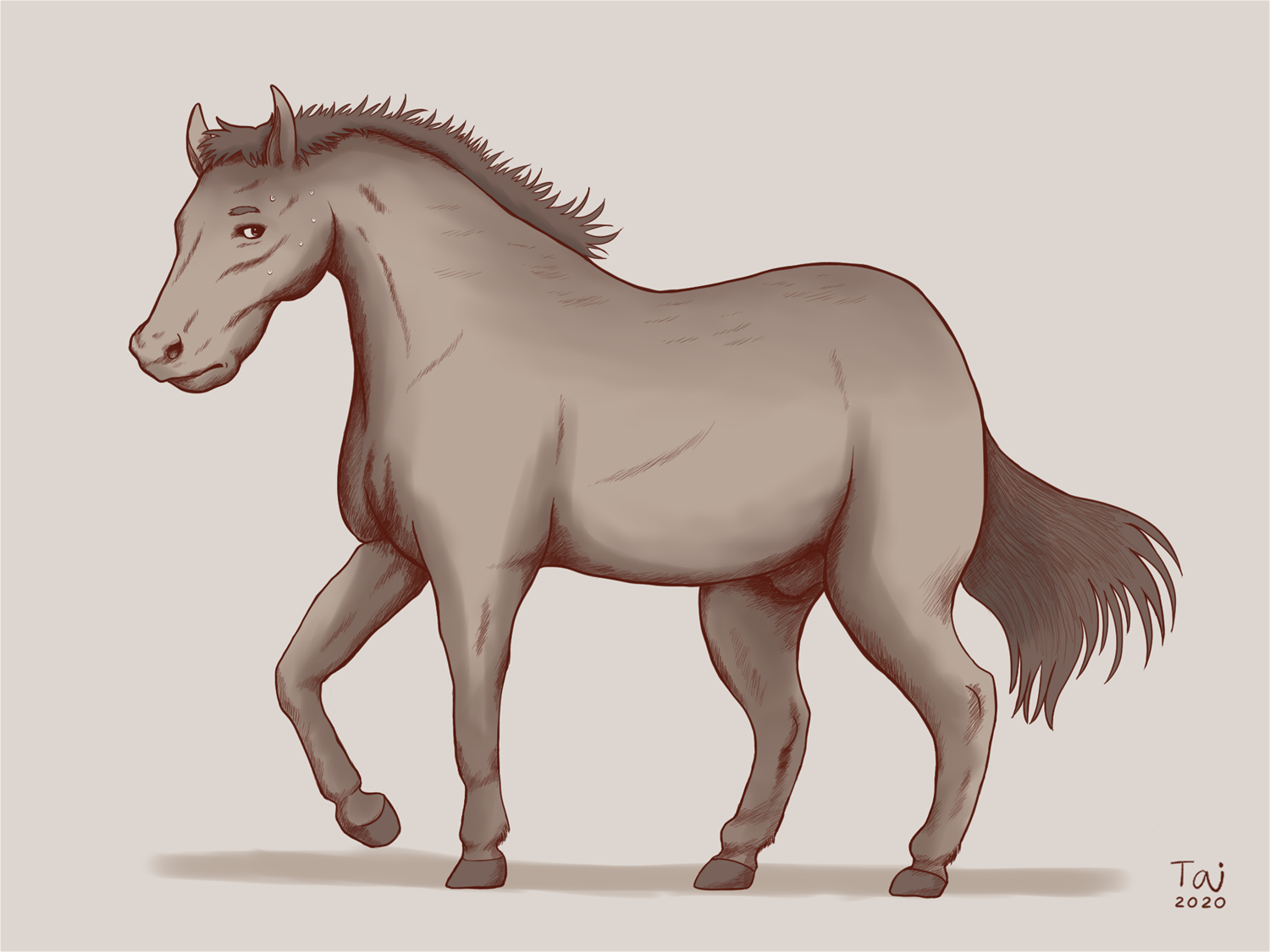 Horse TF by Taitora