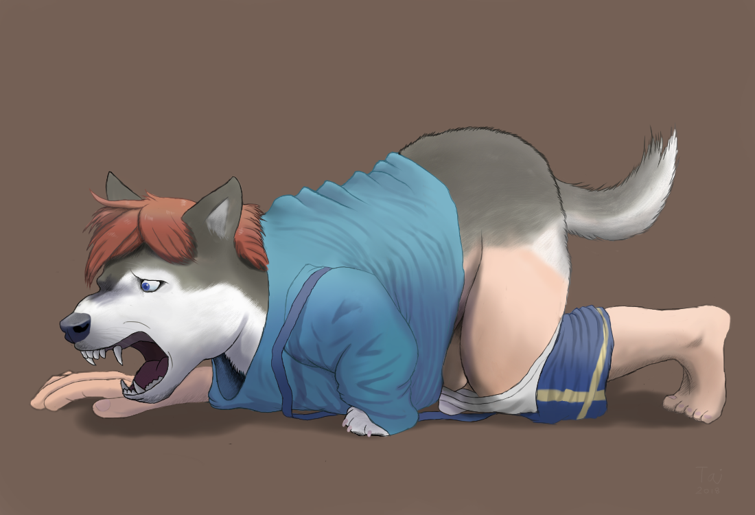 Husky Adoption by Taitora