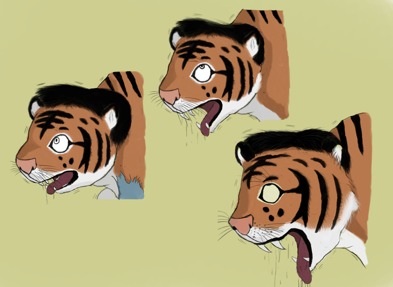 Tiger by Taitora