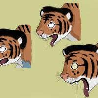 Sequence Image 8