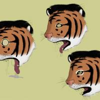 Sequence Image 10