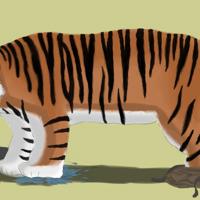 Sequence Image 11
