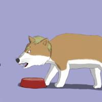 Sequence Image 5
