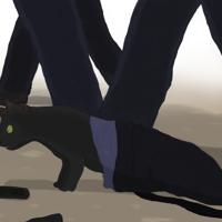 Sequence Image 6