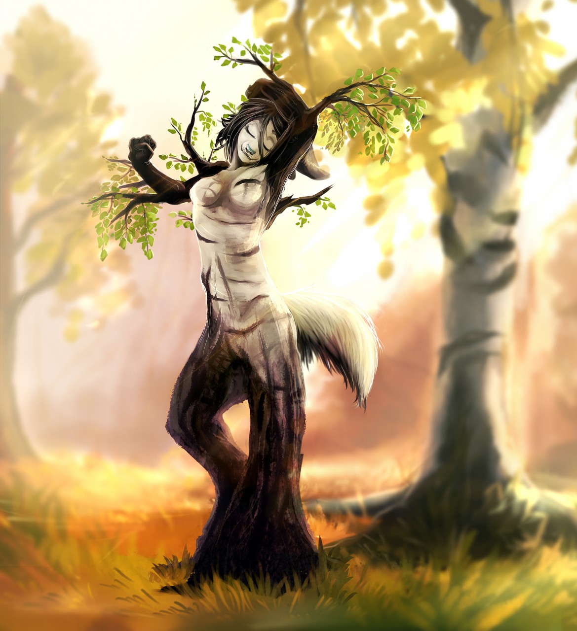 Birch TF by Teamtamas