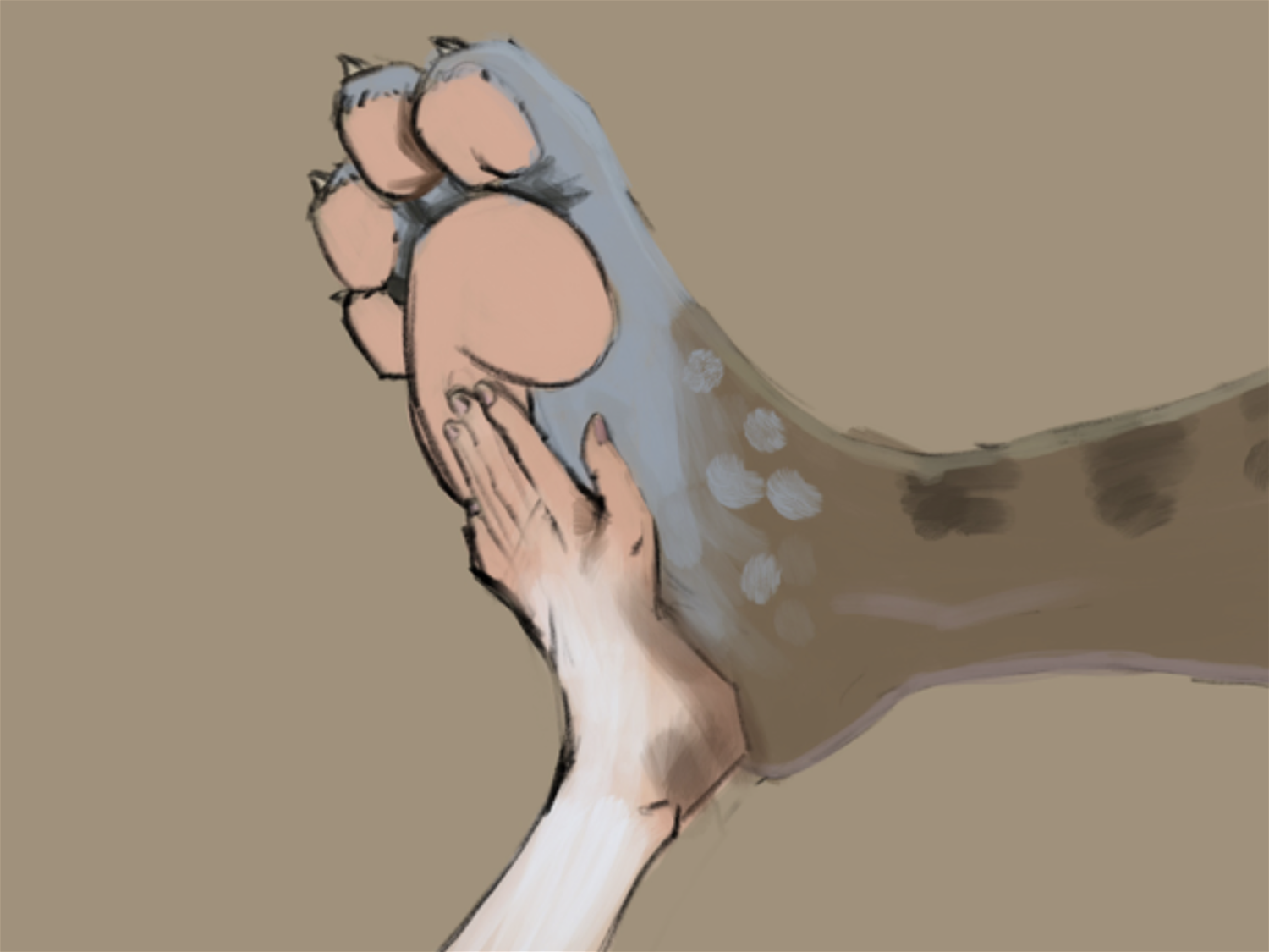 Cat and mouse feet size comparaison study by tfancred