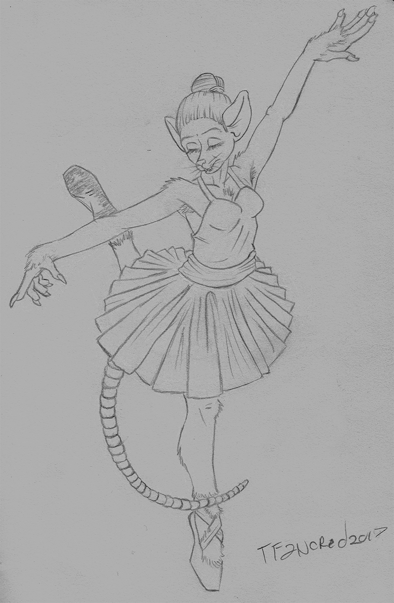 Nutcracker by tfancred