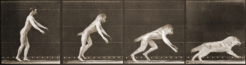 Muybridge Werewolf by Viergacht