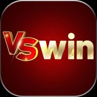 VSWIN