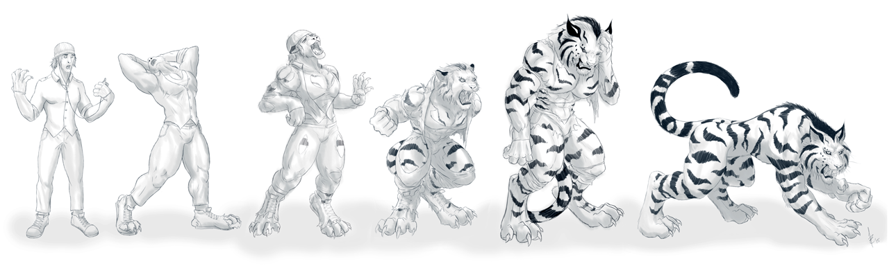 Werecat Animation Werecheetah Transformation